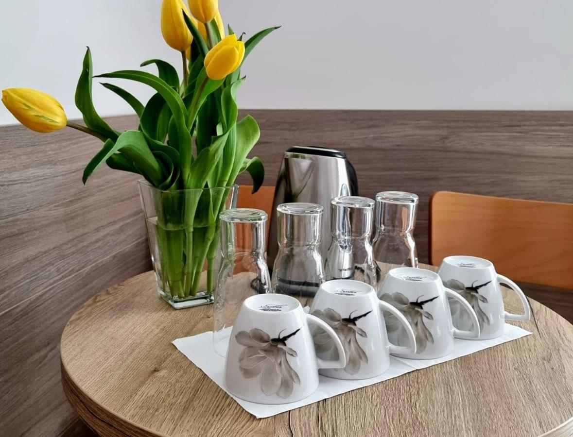 Tasarz Spa Osrodek Wczasowy レバル エクステリア 写真